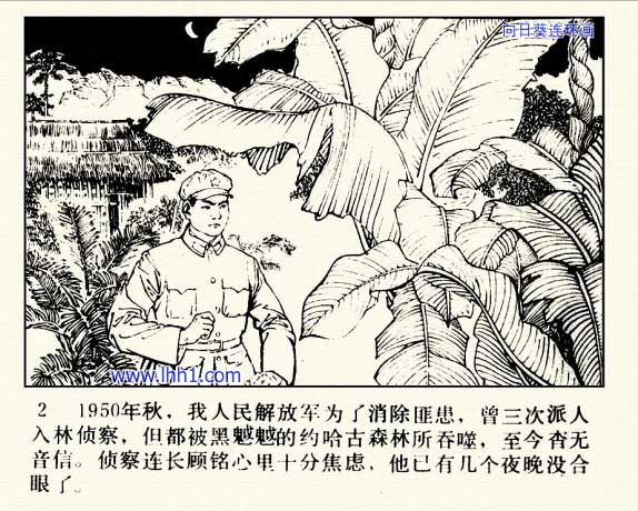 内页4