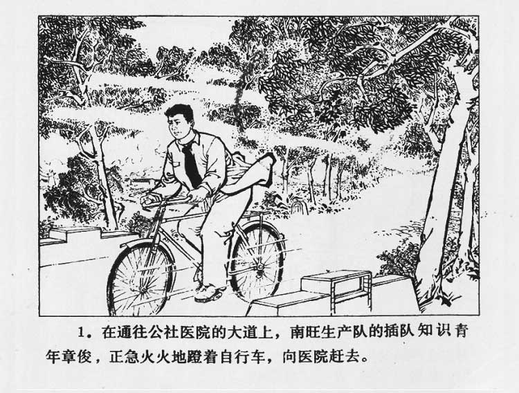 内页3