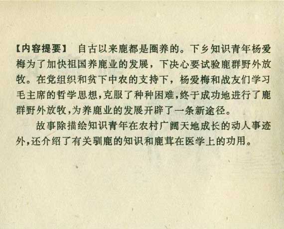 内页2