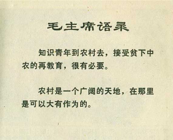 内页3