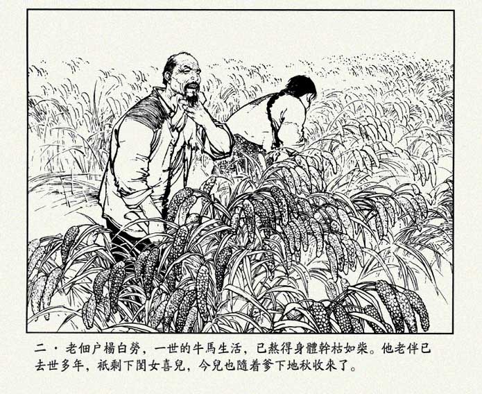 内页4