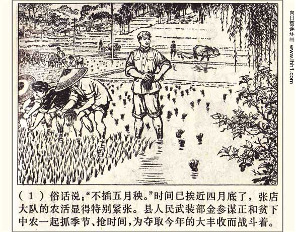 内页3