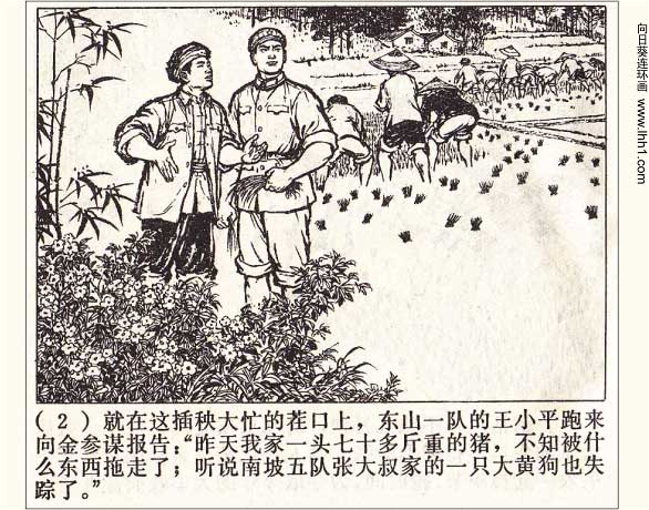 内页4