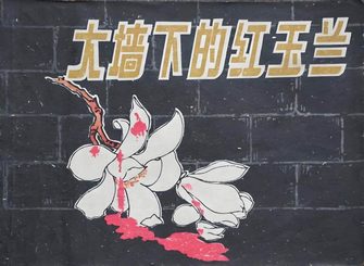 大墙下的红玉兰