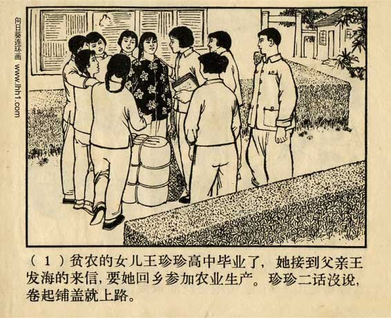 内页3