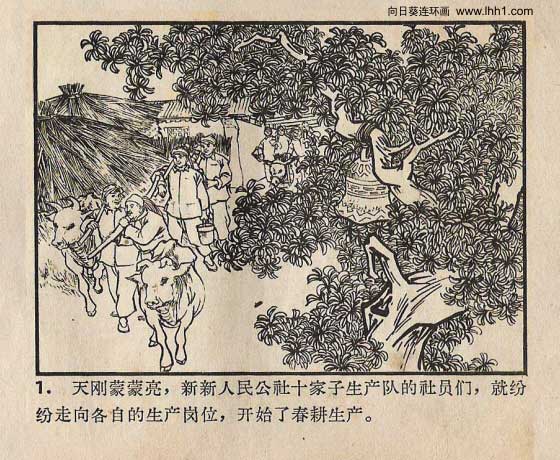 内页4