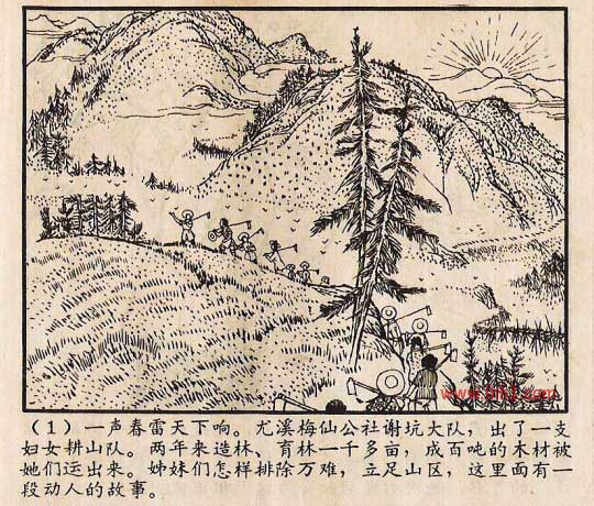 内页3