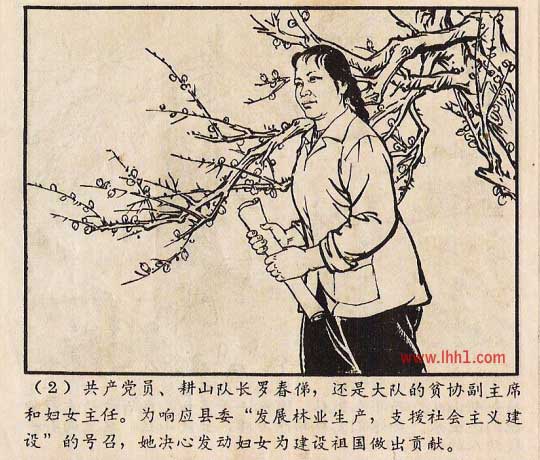 内页4