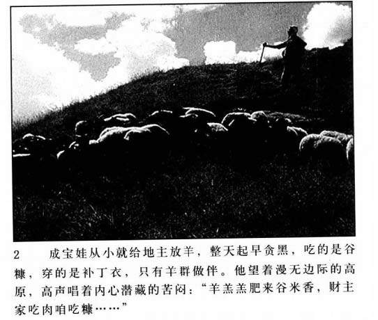 内页4