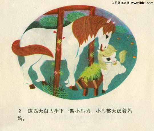 内页4