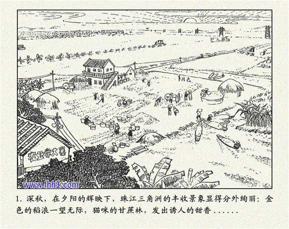 内页3