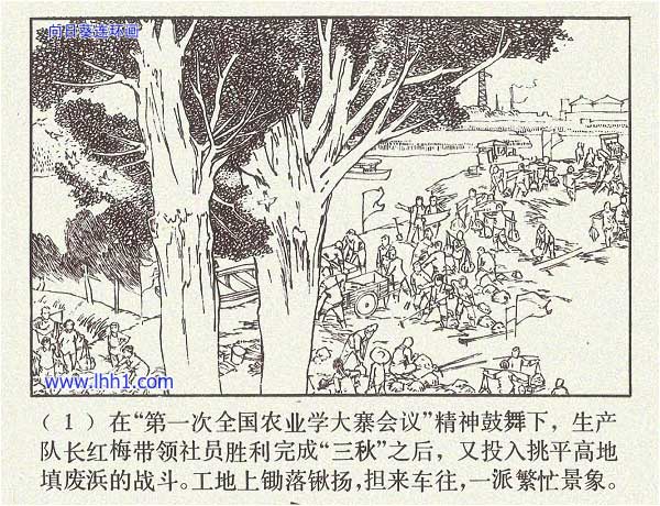 内页3