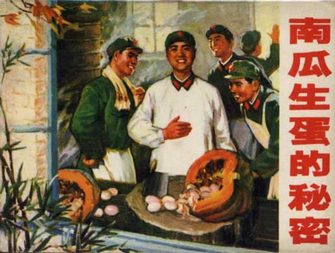 南瓜生蛋的秘密