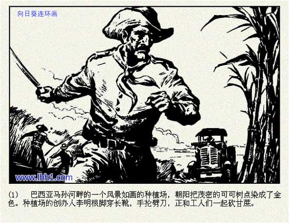 内页3
