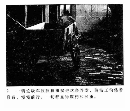内页4