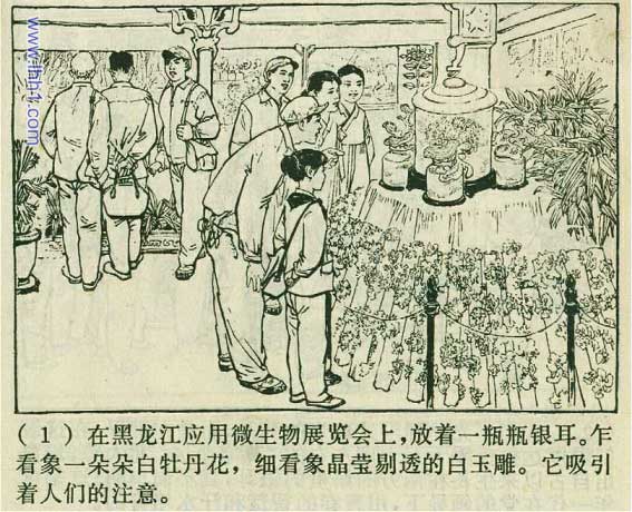 内页3