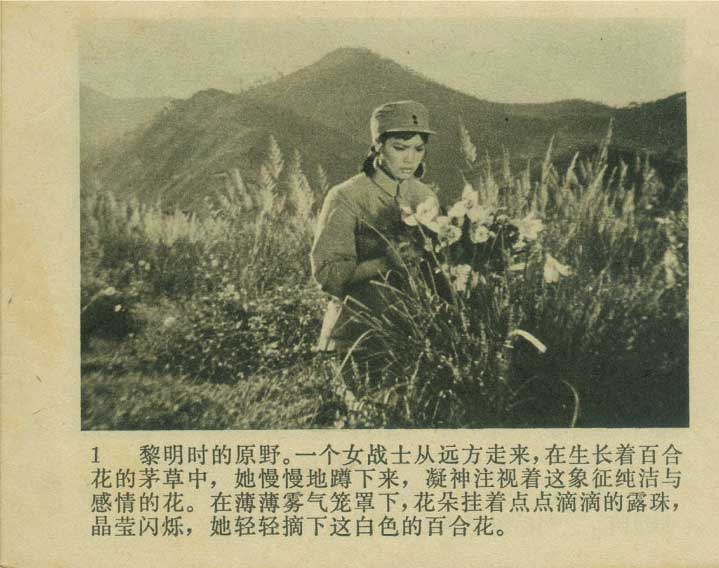 内页3