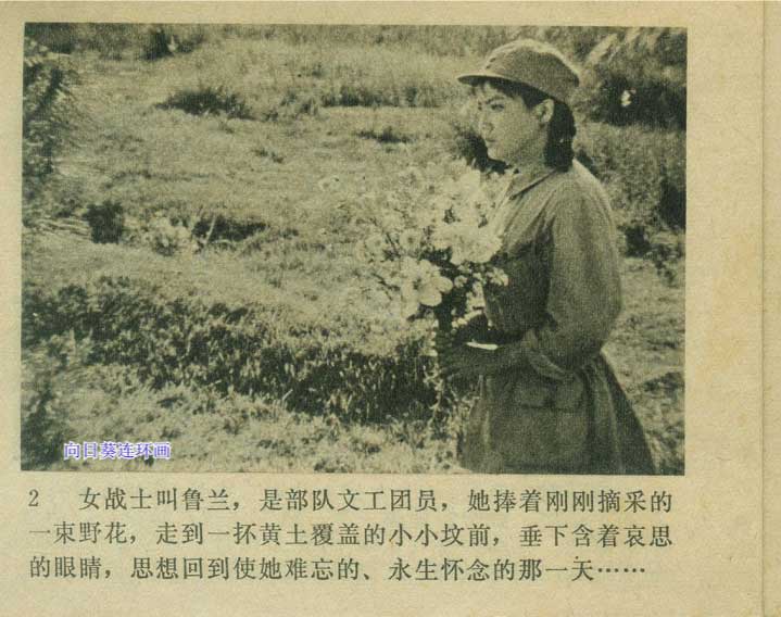 内页4