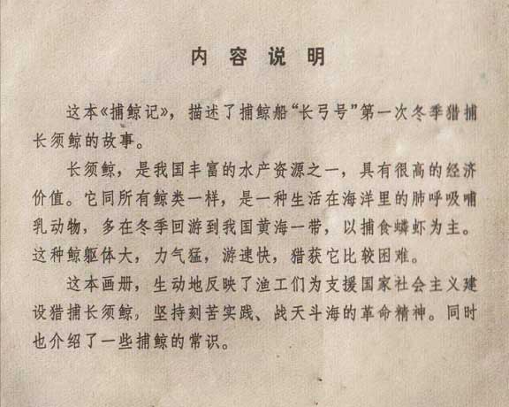 内页3