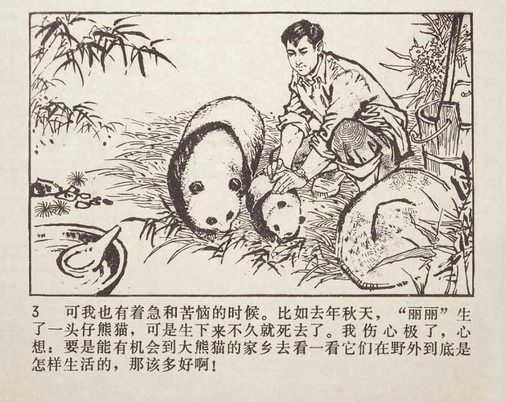 内页4