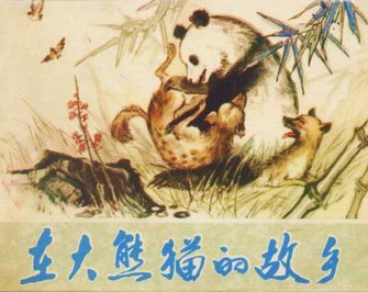 在大熊猫的故乡