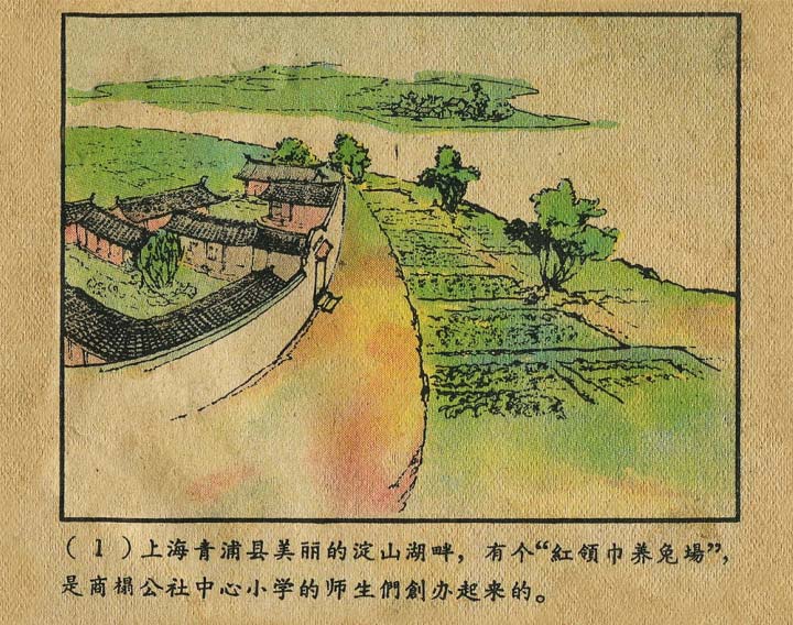 内页3