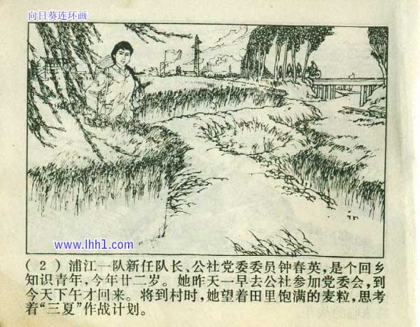内页4