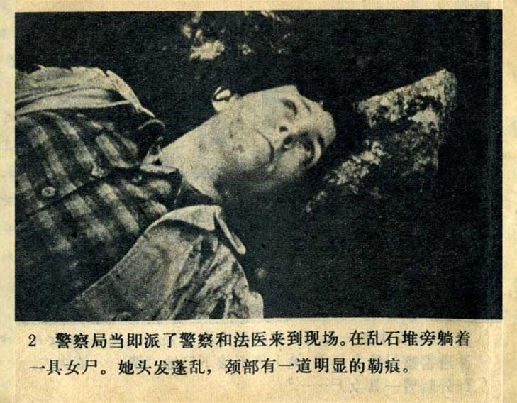 内页4