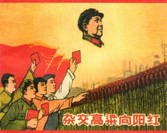 杂交高粱向阳红