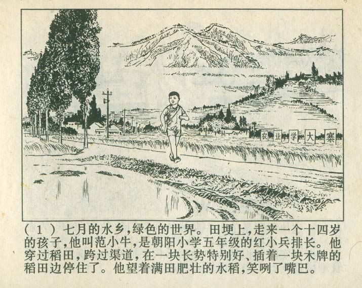 内页3