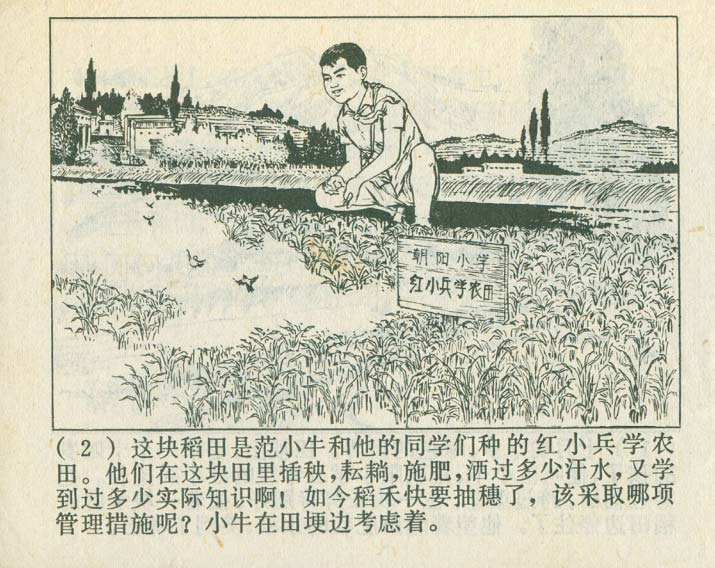 内页4