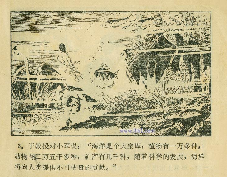 内页4