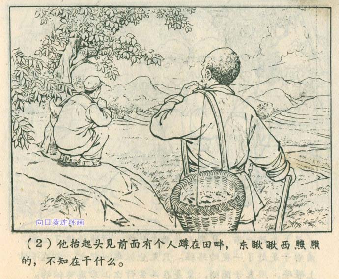 内页4