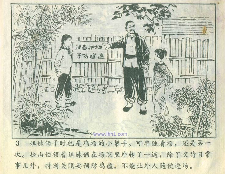 内页4