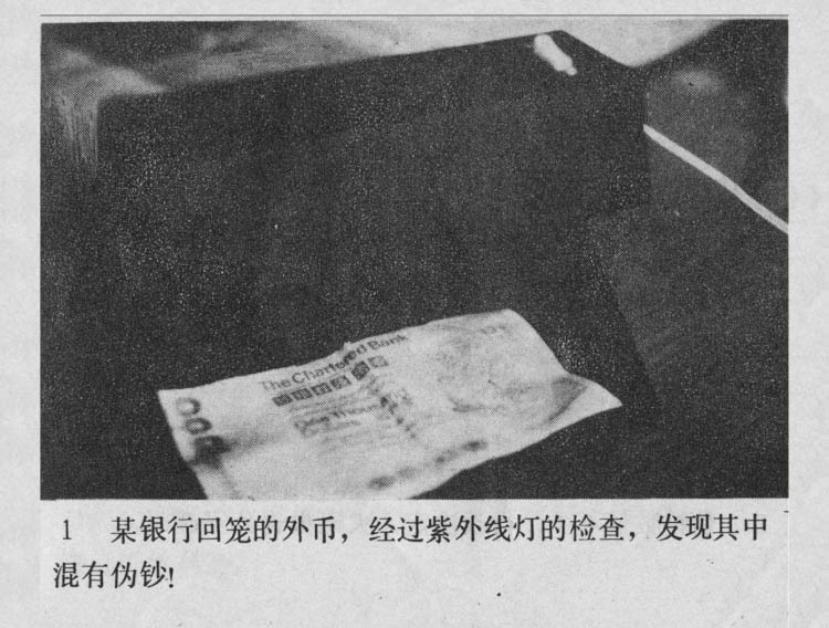 内页3