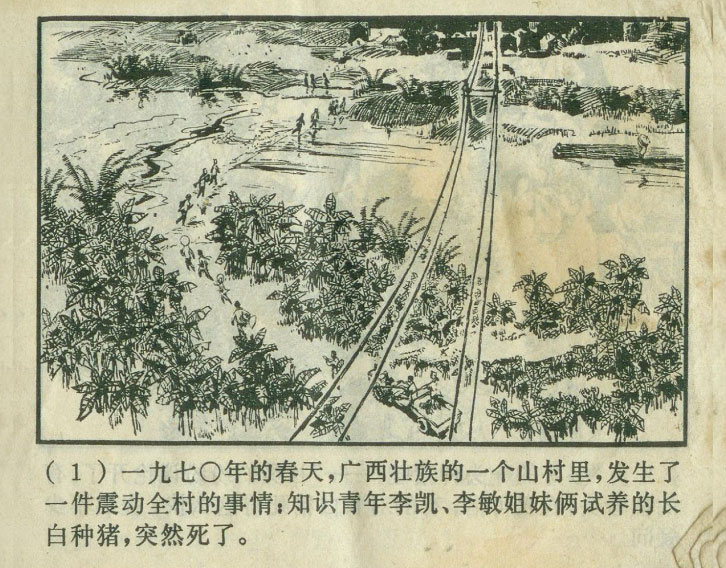 内页3
