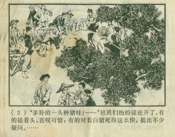 内页4