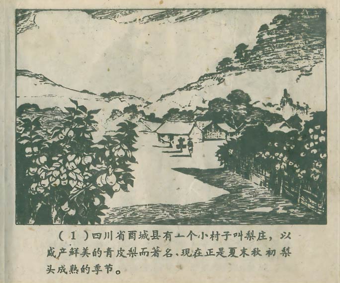 内页3